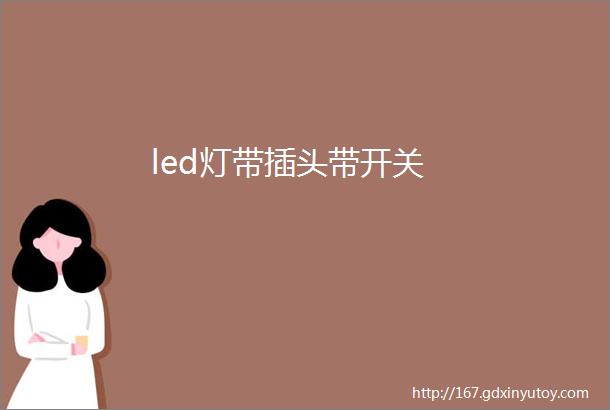 led灯带插头带开关