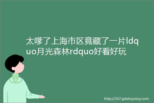 太嗲了上海市区竟藏了一片ldquo月光森林rdquo好看好玩还免费