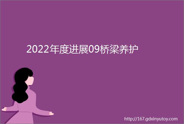 2022年度进展09桥梁养护