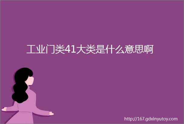 工业门类41大类是什么意思啊