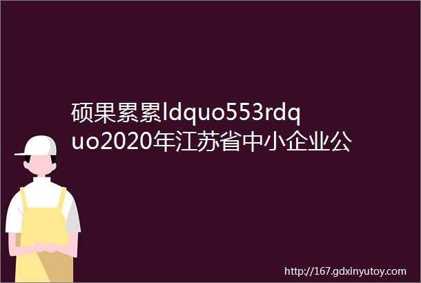 硕果累累ldquo553rdquo2020年江苏省中小企业公共服务示范平台