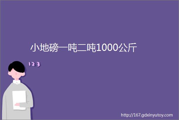 小地磅一吨二吨1000公斤