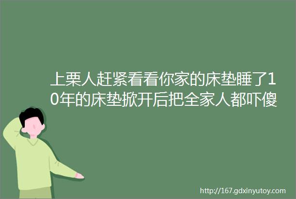 上栗人赶紧看看你家的床垫睡了10年的床垫掀开后把全家人都吓傻了helliphellip